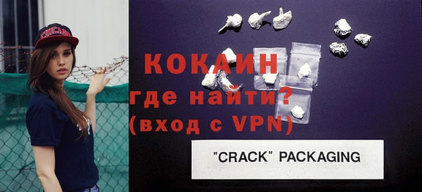 сатива Новозыбков