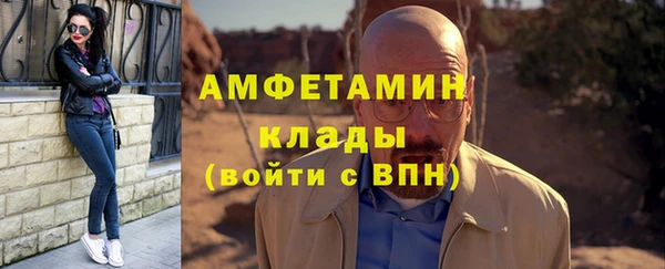 сатива Новозыбков