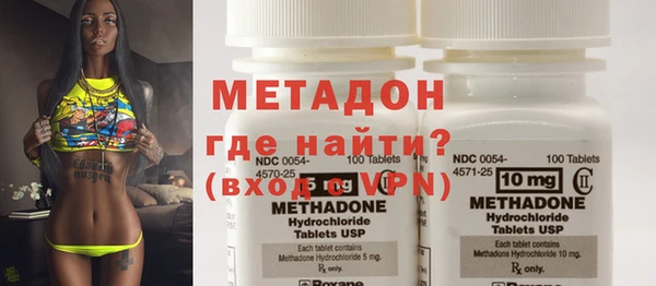 сатива Новозыбков