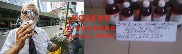 сатива Новозыбков