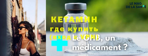 сатива Новозыбков