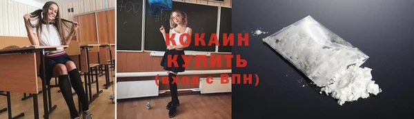 сатива Новозыбков