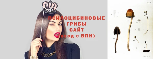 герыч Новокубанск