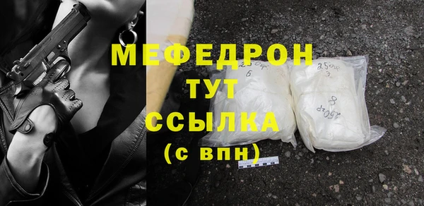 сатива Новозыбков