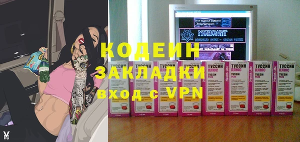 сатива Новозыбков