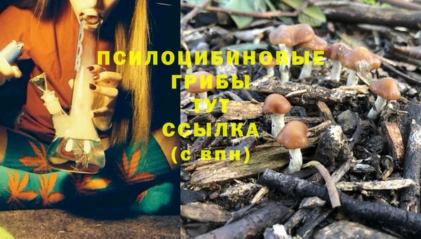 эйфоретик Новодвинск