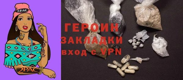 сатива Новозыбков
