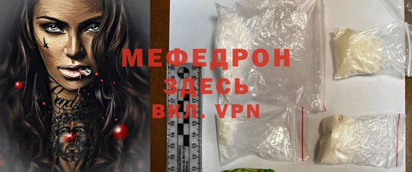 сатива Новозыбков