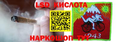 дурь Гатчина