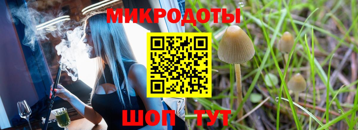 Псилоцибиновые грибы мицелий Сарапул